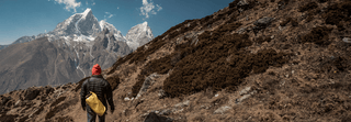 Bild2_compressed_relative_080.png